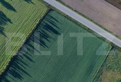 Teren de 50000 mp, în Central