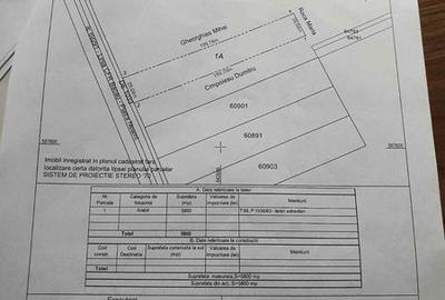Teren de 5800 mp, în Mărgineni - 2