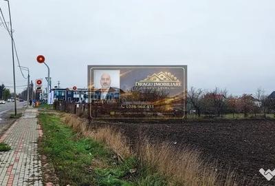 Teren de 27223 mp, în Est - 4