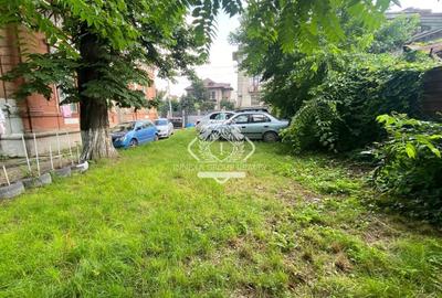 Calea Calarasilor I Monument istoric - 10