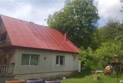 Casă cu Teren 2400 Mp în Cavnic - 7