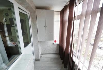 Apartament cu 2 camere decomandat în Valea Rosie - 9