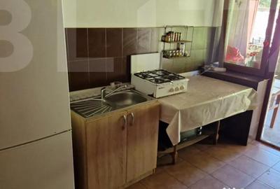Casă cu 4 camere cu Teren 3166 Mp în Bejan - 9