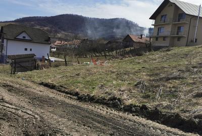 Teren Construcții intravilan de 1188 mp, în Nord-Vest - 12
