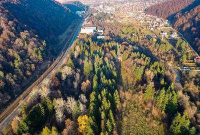 Teren Construcții intravilan de 10000 mp, în Timișu de Jos - 6