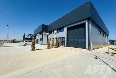 Spatiu Industrial-Hala | Teren 973mp | Domnesti-Centura Bucuresti - 2