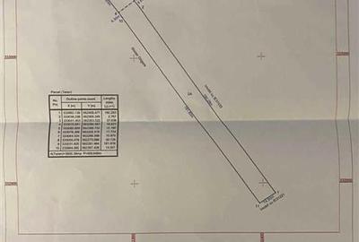 Casa + Teren - Ulmi - jud.Giurgiu - 6