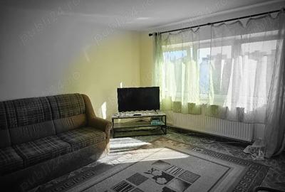 Apartament cu 2 camere decomandat în Scriitorilor - 2