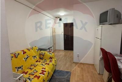 Garsonieră decomandată în Vasile Aaron - 5