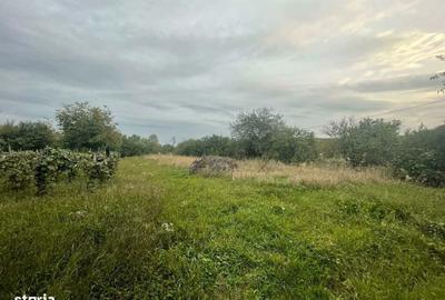 Casă cu 2 camere în Lipău - 6