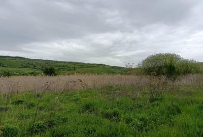 Teren de vanzare in Sopor, 1500 mp, pentru cabana - 4