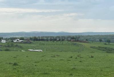 Teren intravilan 438 mp | Calea Cisnadiei Str. Zorilor Teren intravilan 438 mp | Calea Cisnadiei Str. Zorilor - 3