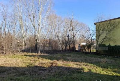 Casă cu 5 camere cu Teren 886 Mp în Ghiroda - 3