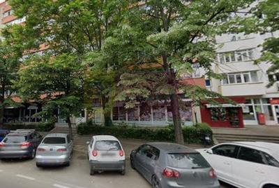 Inchiriere spatiu comercial in zona Teiul Doamnei, stradal - 4