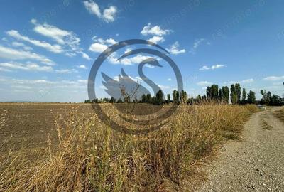 Teren extravilan de vanzare | 9882mp | Berceni - Prahova | Comision 0% - 17