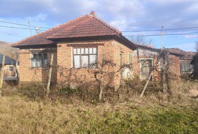 Casă cu 3 camere în Chiochiș - 3