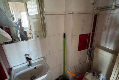 Plevnei, Cismigiu Amenajat,2 bai,centrala,Liber - 7