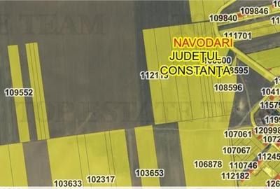 Teren agricol extravilan de 20430 mp, în Exterior Sud - 5