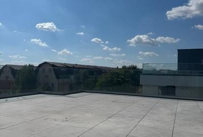 Apartament trei camere dristor-nicolae pascu  cu terasa impresionanta - 4