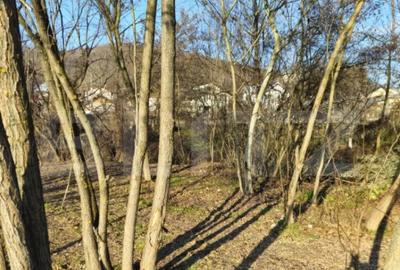 Teren de 759 mp, în Central - 6