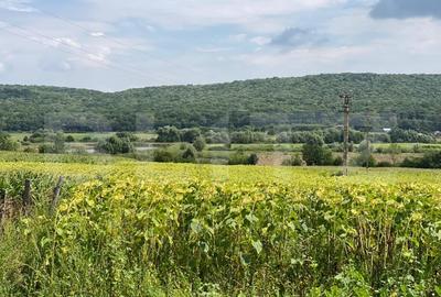 Casa batraneasca cu 6000 mp teren Schitul Duca - 2
