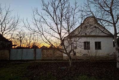 Casă în Dudeștii Vechi - 2