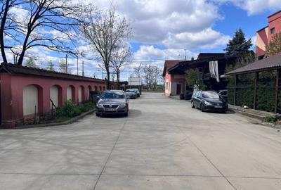 Inchiriez hale productie si birouri in Baia Mare Sud - 3