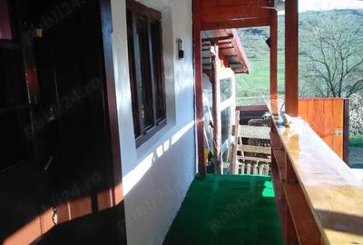 Casă cu 2 camere în Ațintiș - 3