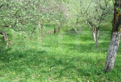 Teren de 884 mp, în Central - 7