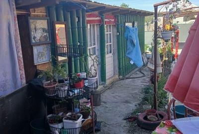 Casă cu 3 camere în Vulpeni - 5