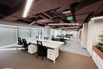 Spațiu comercial, de 330 mp, în Trei Stejari - 9