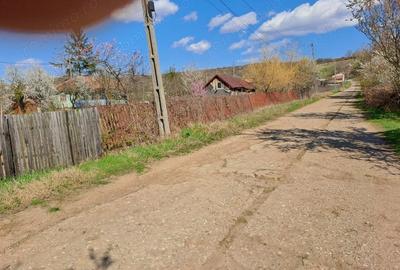 Casă cu Teren 1100 Mp în Valea Fetei - 2
