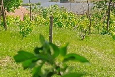 ID 7852 Teren pentru casa - Strada Orizontului - 1