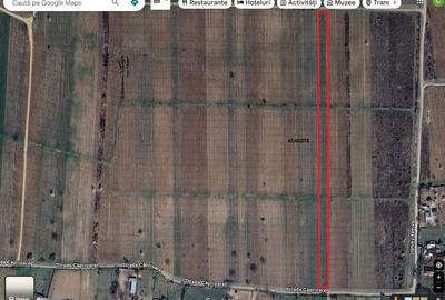 Teren de 9100 mp, în Cârligele - 3