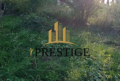 Teren Construcții intravilan de 1000 mp, în Cisnădioara - 3