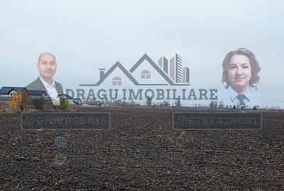 Teren intravilan la E85 / Adjud/ Langa Rompetrol - 1