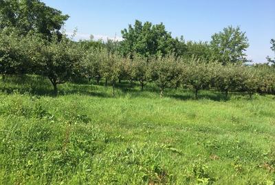 Spațiu comercial, în Războieni - 3