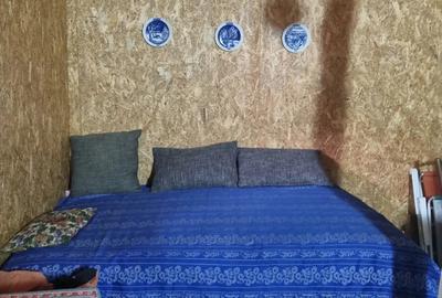 Casa de vanzare la tara - 2