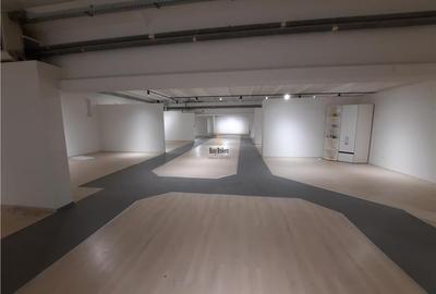 Spațiu comercial, de 1,000 mp, în Depozite - 11