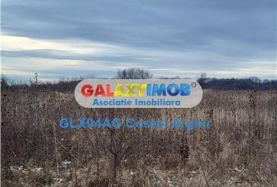 Teren intravilan de 3500 mp, în Smeura - 5