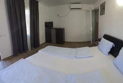 Casă cu 11 camere cu Teren 860 Mp în Dubova - 3