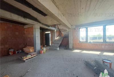 Vanzare Vila Tudor P+1+ casa parter /curte 1000 mp - 10