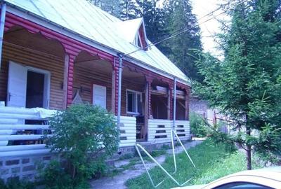 Casă cu Teren 350 Mp în Lepșa - 4