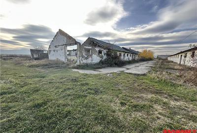 Platforma industriala 27.000mp - Racova - Buhusi - 6