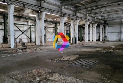 Hala - 1137 mp  # plus-imo.ro - 6