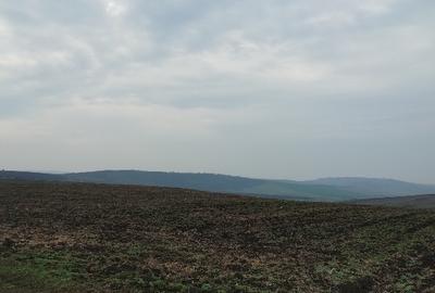 Teren Construcții extravilan de 1500 mp, în Rediu - 4