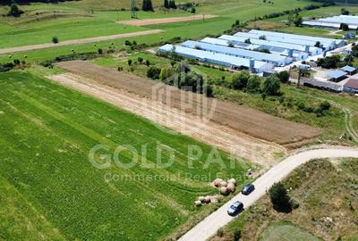 Teren Intravilan - Gilau - Autorizatie Construire Hale - 7