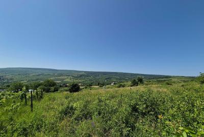 Teren de 3000 mp, în Tomești - 6