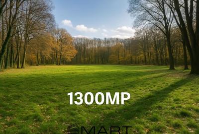 Teren cu vad exceptional 1300mp zona Subarini - 1