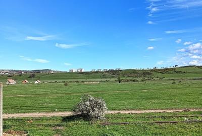 Teren intravilan de 3000 mp, în Sud